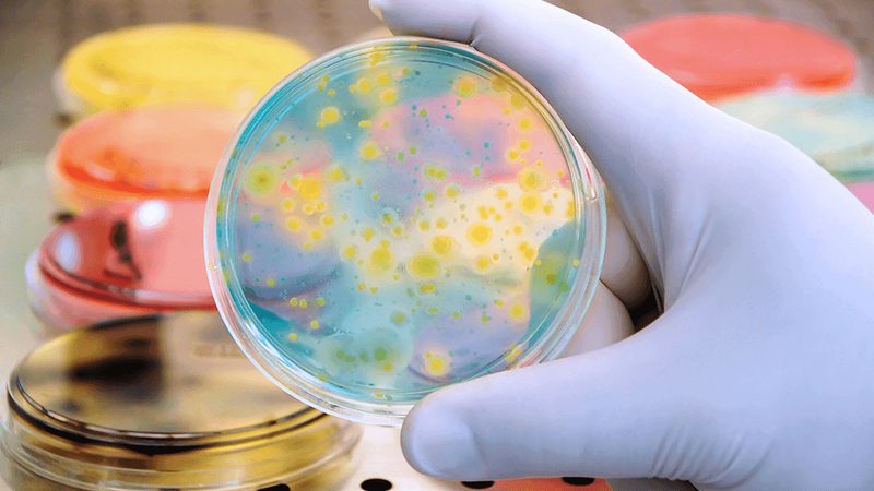 生物科技农业：传统农业的革新之路