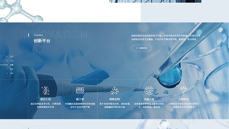 酶制剂生产厂家执行哪些标准？**