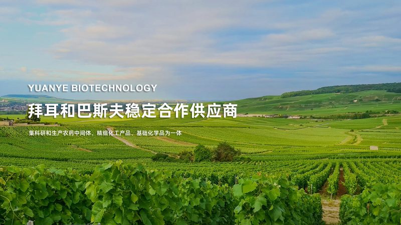 医院用抗体检测试剂盒：如何科学评估报价与品质**