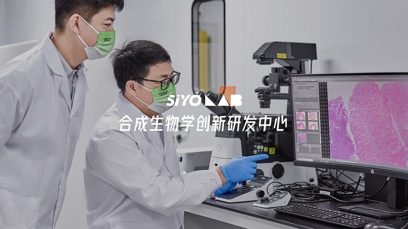 基因检测报告解读：揭秘价格背后的价值