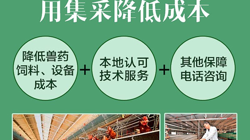 PCR检测流程揭秘：步骤详解与关键要素