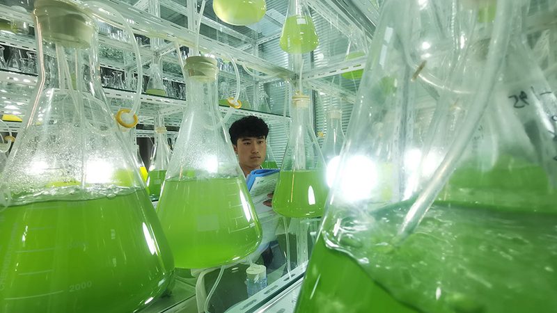 小标题：CRO优化公司的作用